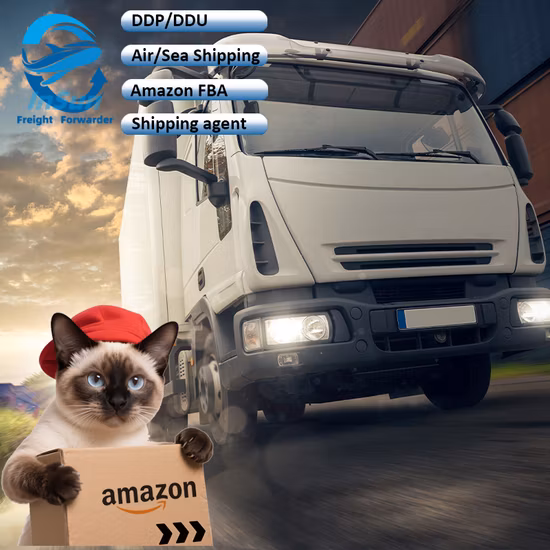 /Pmk/Bdo Consegna Australia Messico Paesi Bassi CAS 20320-59-6 /28578-16-7/ 103-63-9/CAS 110-64-5 /1, 4bdo /14b /
