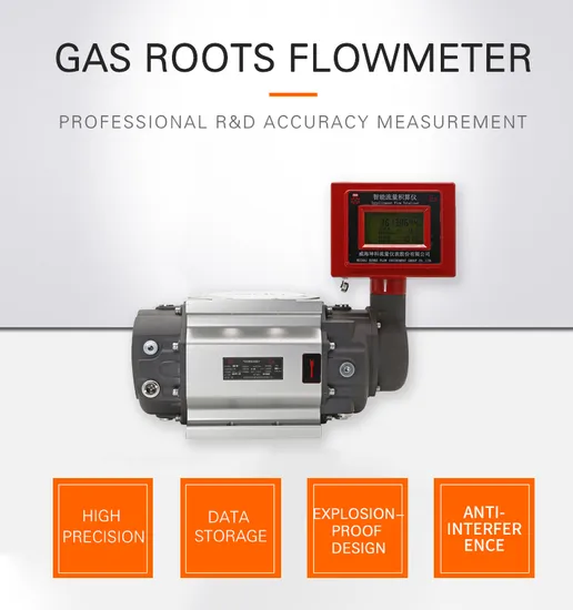 Kunke Gas Roots Flowmeter 1.0 Protezione integrata contro i fulmini, protezione contro le sovratensioni, soppressione degli sciami di impulsi e altri circuiti di protezione